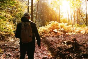 Il Borro Tuscany Winery