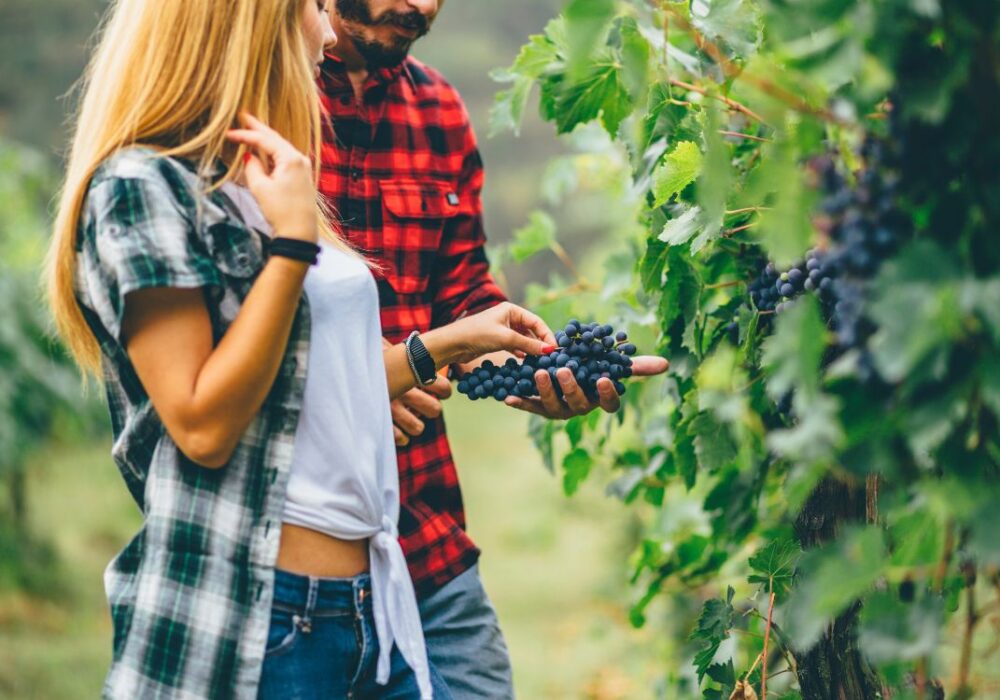 Couple on a Bordeaux wine tour