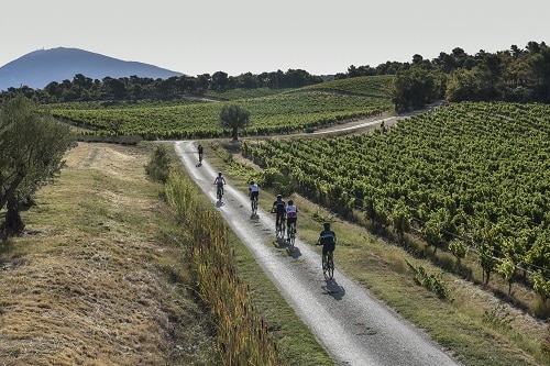 Chene Bleu - Wineries to visit in Southern Rhone