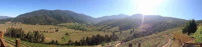 Chilean Wine and Chile Wine Regions | Viña Ventisquero Roblería de Apalta | Winetraveler.com