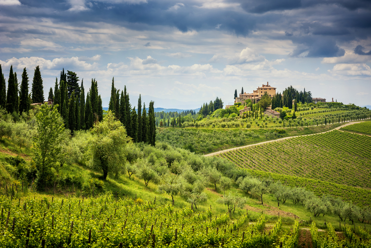 Chianti Hills with vineyards in the background