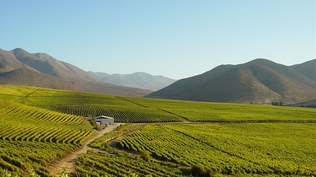 Limarí Valley, Chile | Winetraveler.com