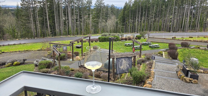 Rex Hill Winery