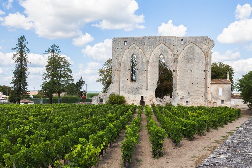 Wine Tasting in Bordeaux: Best Bordeaux Wineries